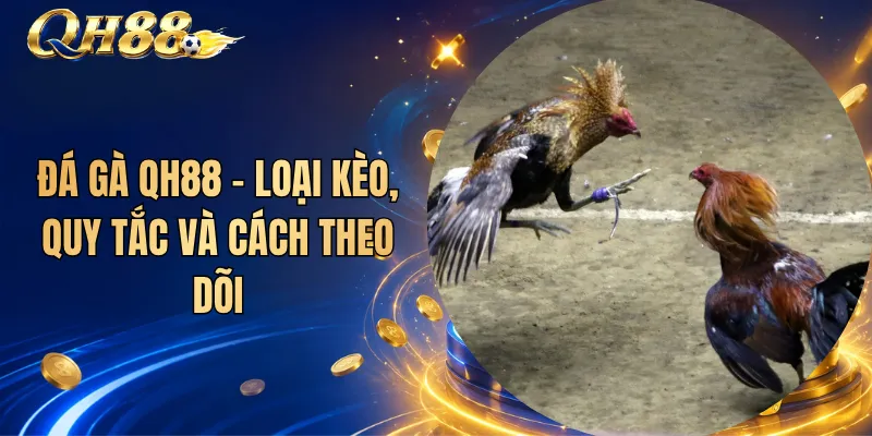 Đá Gà QH88 – Loại Kèo, Quy Tắc Và Cách Theo Dõi