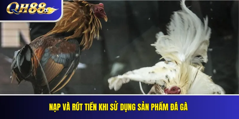Đá Gà QH88 – Loại Kèo, Quy Tắc Và Cách Theo Dõi 4 Nạp và rút tiền khi sử dụng sản phẩm đá gà
