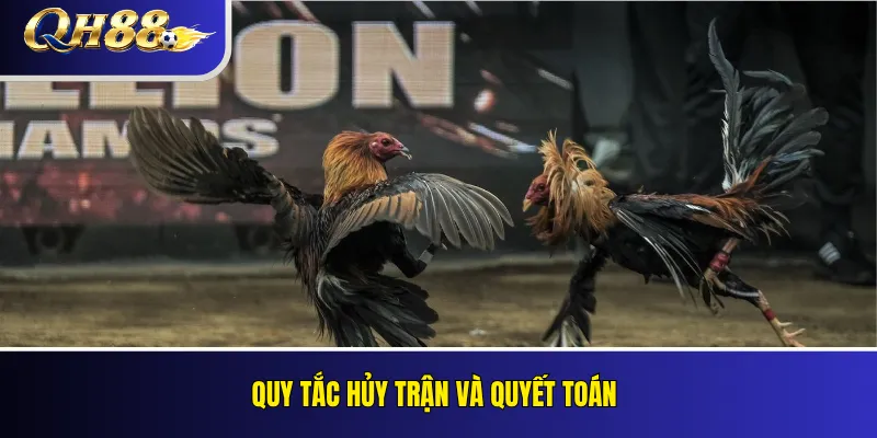 Đá Gà QH88 – Loại Kèo, Quy Tắc Và Cách Theo Dõi 3 Quy tắc hủy trận và quyết toán